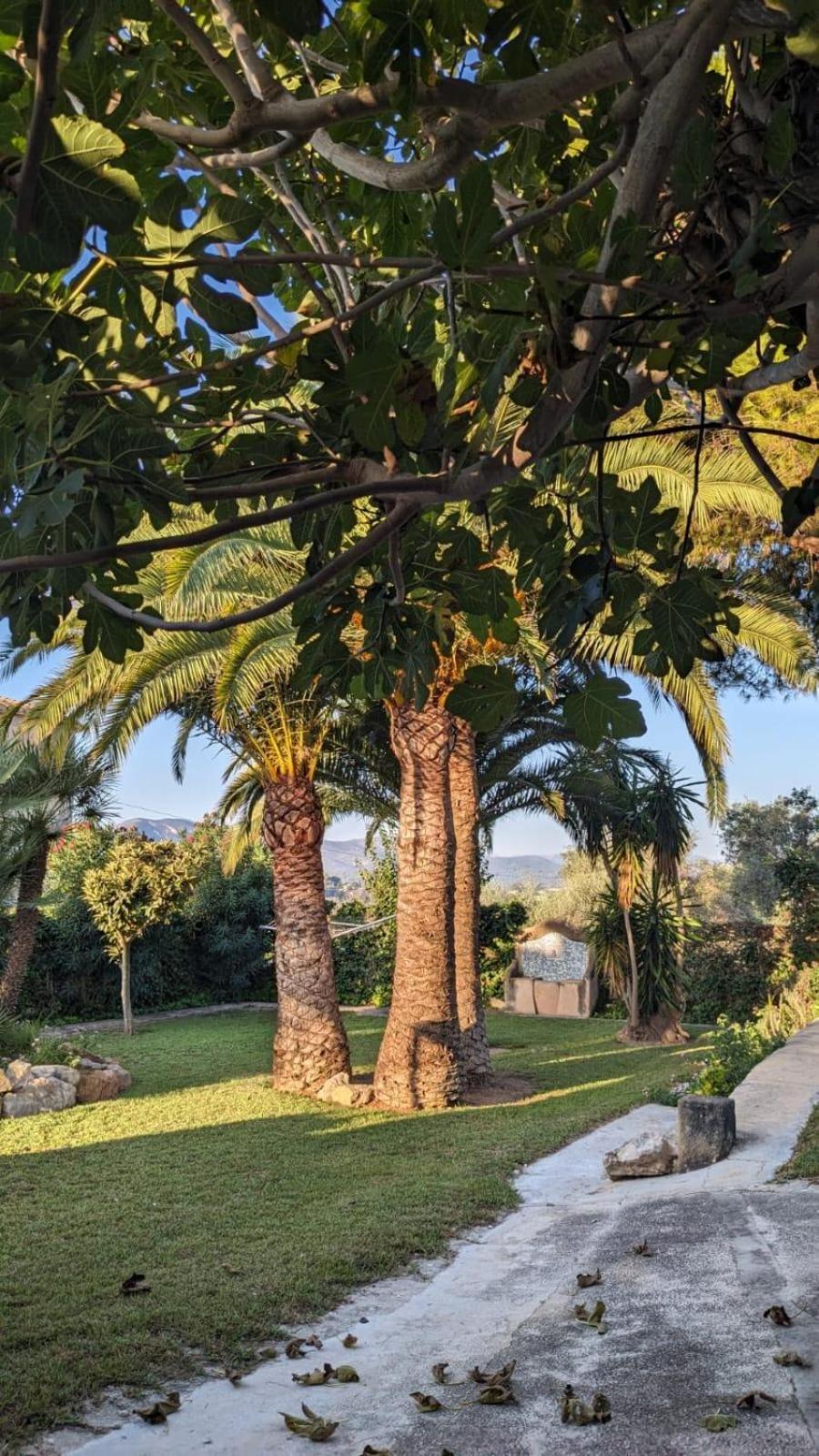 Ca Tosca Villa Jávea Exteriör bild