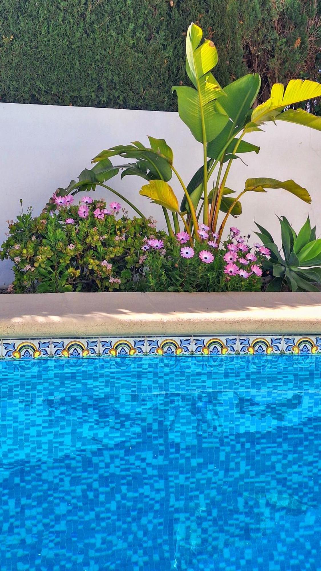 Ca Tosca Villa Jávea Exteriör bild